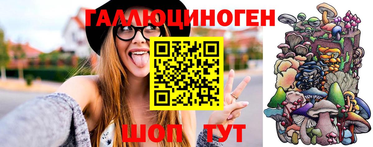 Галлюциногенные грибы Psilocybe  Вход с VPN  где купить наркоту  Псилоцибиновые грибы мицелий  Видное 